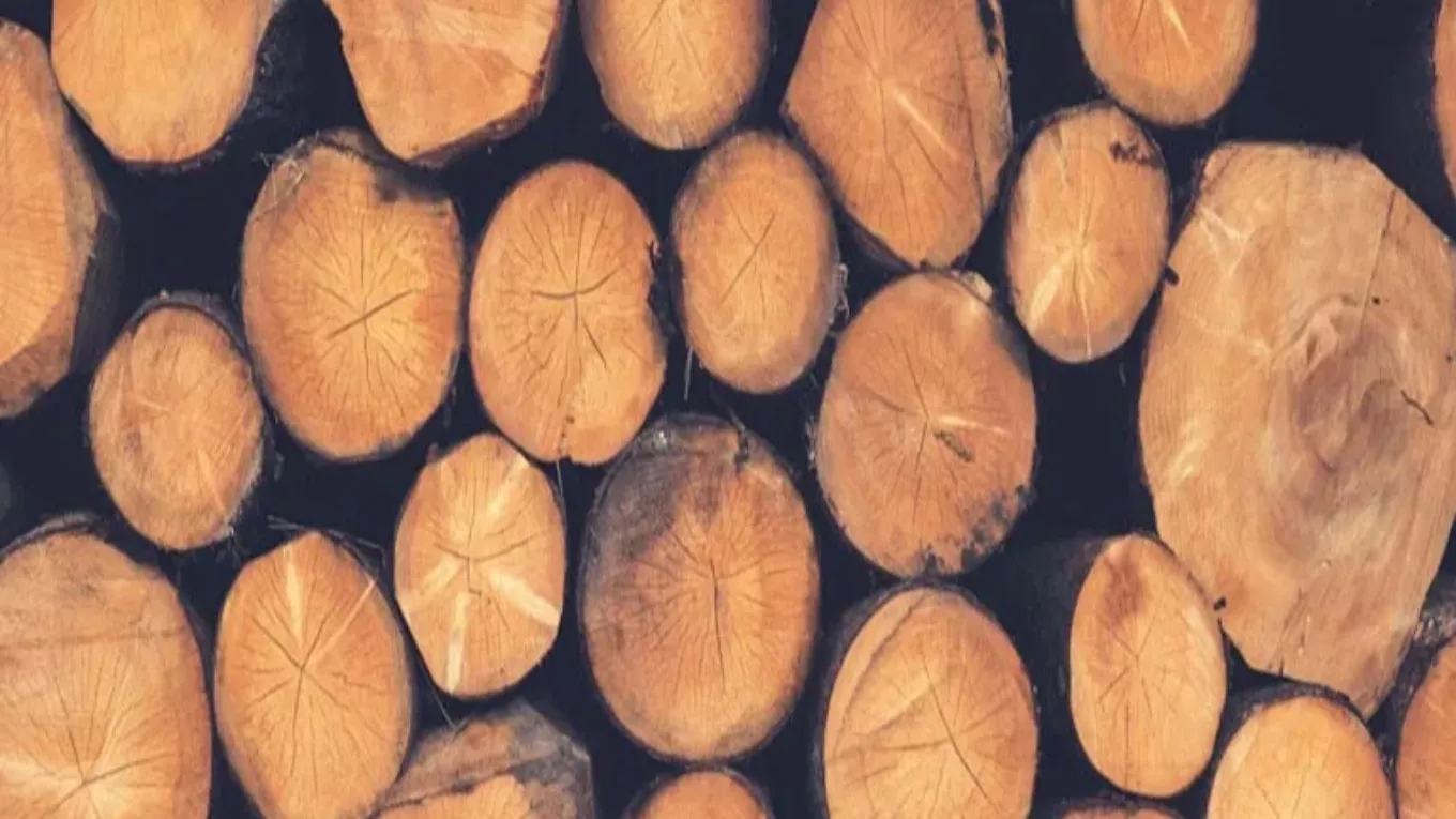What is a lathe? What is a lathe?